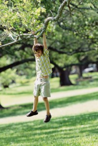 Boy Swinging from Tree