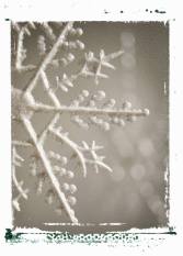 snowflake 2 unit study