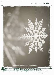 snowflake unit study