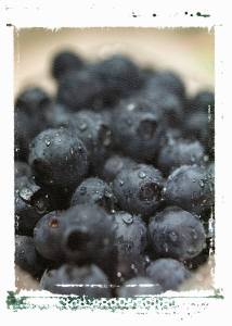 blueberries