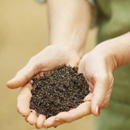 Close-up mid section of woman holding soil